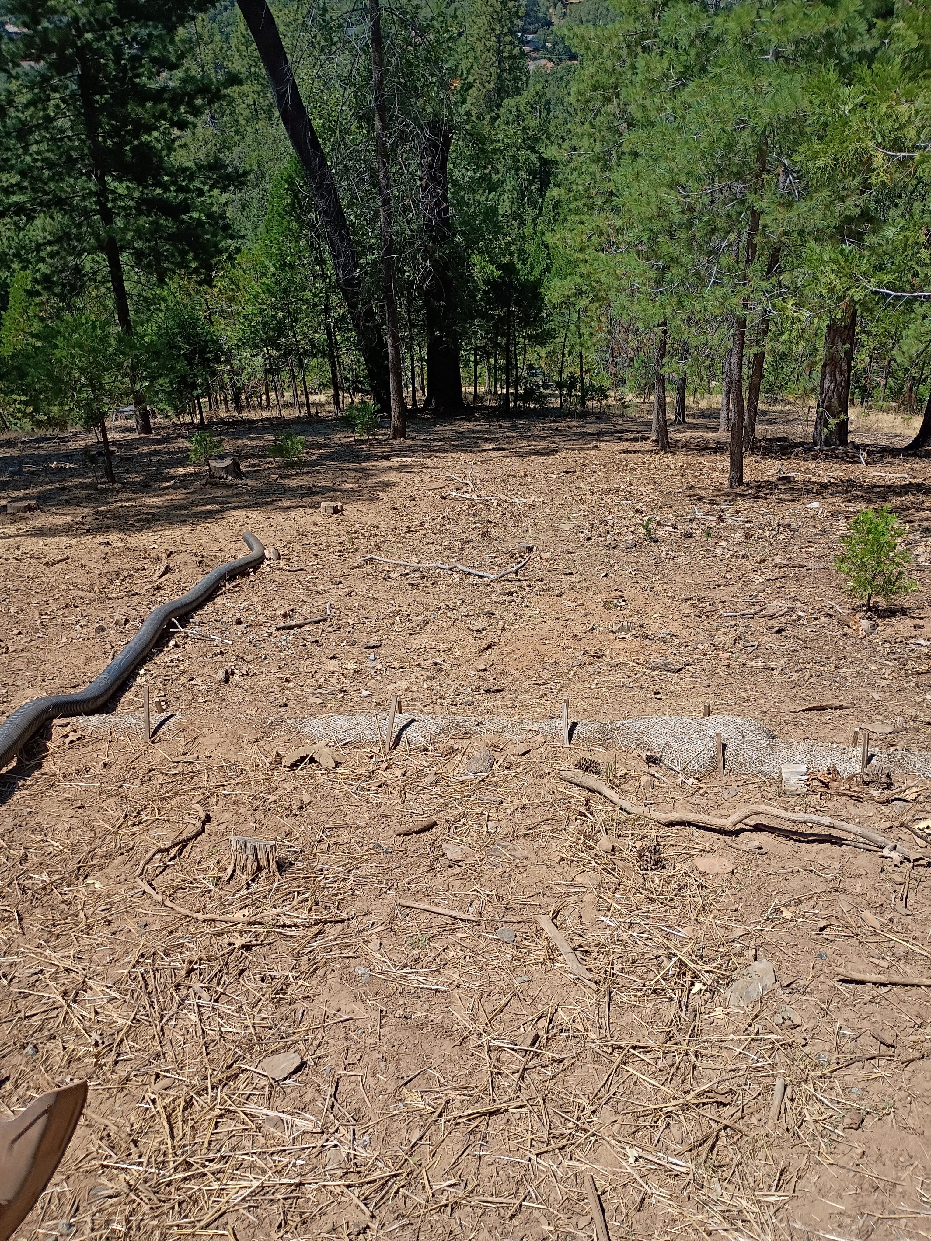 Lot clearing/Fire Safety Clean-Up